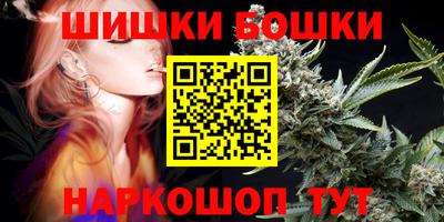 МДПВ Боровичи