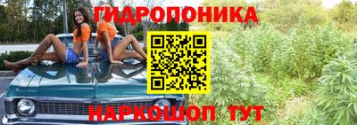МДПВ Боровичи