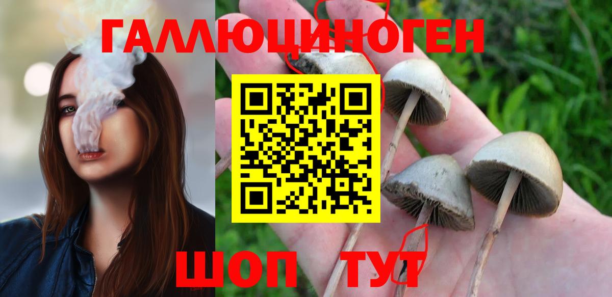 Псилоцибиновые грибы ЛСД  Галлюциногенные грибы Magic Shrooms  Вичуга  Вход с VPN 